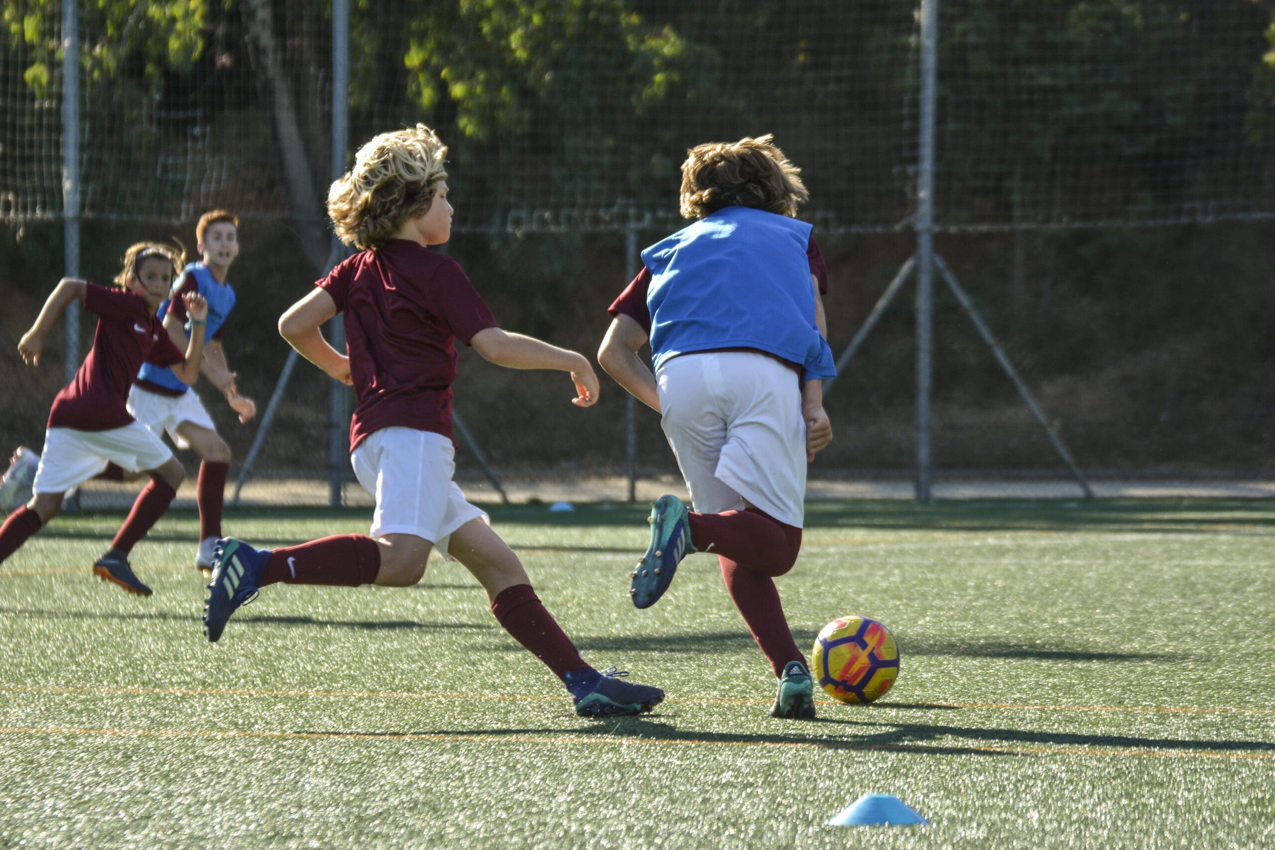 Training Session